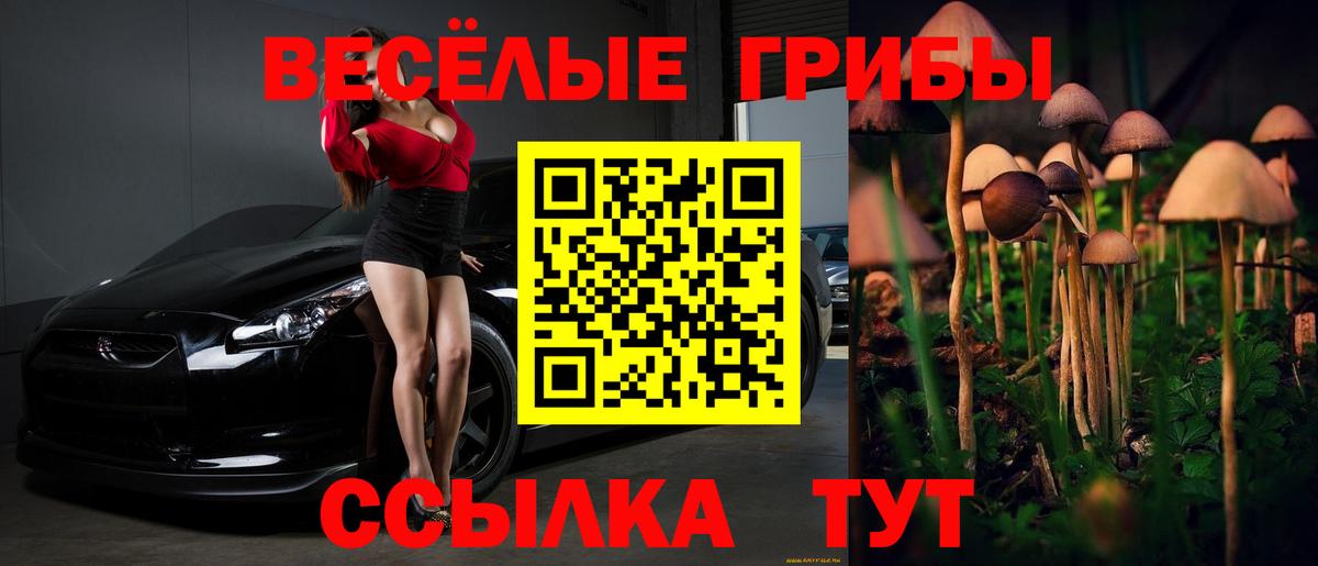 Галлюциногенные грибы Magic Shrooms Кингисепп