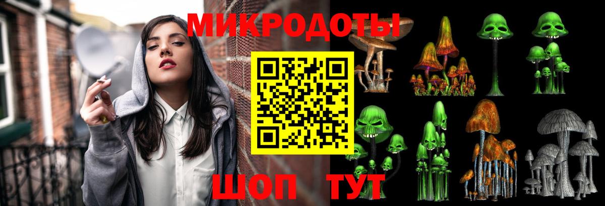Галлюциногенные грибы мицелий  Вход с VPN  Кингисепп  Галлюциногенные грибы мицелий 
